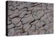 Dry River Bed, Skeleton Coast Park, Namibia, Africa-Thorsten Milse-Premier Image Canvas