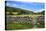 Dry Stone Wall and Gate in Meadow at Muker-Mark Sunderland-Premier Image Canvas