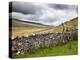 Dry Stone Wall and Ladder Stile at Twisleton Scar, Yorkshire Dales, Yorkshire, England-Mark Sunderland-Premier Image Canvas