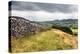 Dry Stone Wall and Public Footpath in Crummack Dale, Yorkshire, England, United Kingdom, Europe-Mark Sunderland-Premier Image Canvas