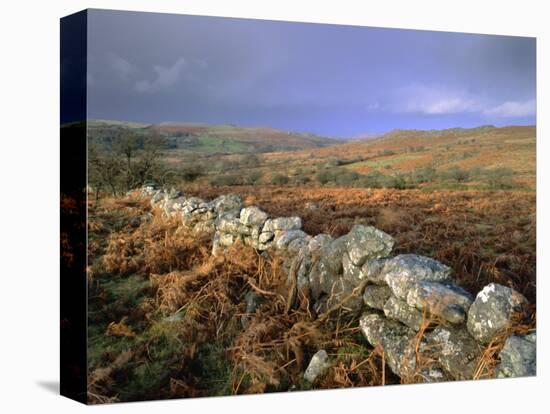 Dry Stone Wall, Autumnal Scene Near Haytor, Dartmoor National Park, Devon, England, UK, Europe-Lee Frost-Premier Image Canvas
