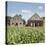 Drying House on a Tobacco Plantation, Pinar Del Rio Province, Cuba-Jon Arnold-Premier Image Canvas