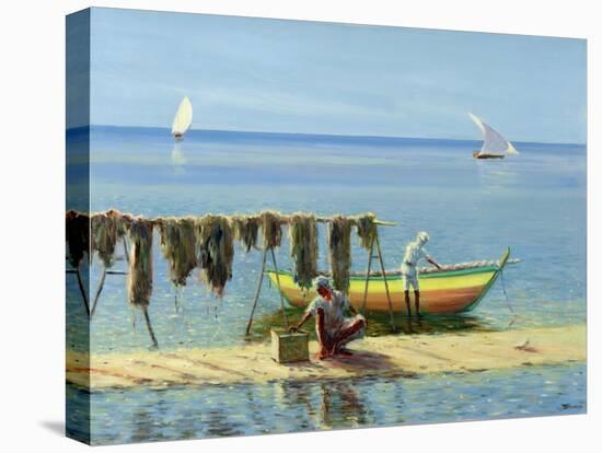 Drying Nets: Abu Dhabi-Edward Dawson-Premier Image Canvas