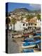 Drying Salt Cod (Bacalhau) and Fishing Boats in the Coast Harbour of Camara De Lobos, Portugal-Neale Clarke-Premier Image Canvas