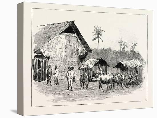 Drying Sheds for Tobacco, Sumatra, Indonesia, 1890-null-Premier Image Canvas