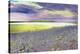 DSC0230-Autrain Island 5-Tom Kelly-Premier Image Canvas