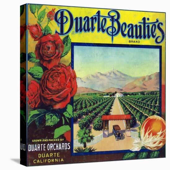 Duarte, California, Duarte Beauties Brand Citrus Label-Lantern Press-Stretched Canvas