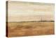 Dubai Landscape I-Tim OToole-Stretched Canvas