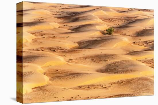 Dubai UAE - Sunset Sand Dunes-Philippe HUGONNARD-Premier Image Canvas