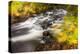 Duck Brook in Fall in Maine's Acadia National Park-Jerry & Marcy Monkman-Premier Image Canvas