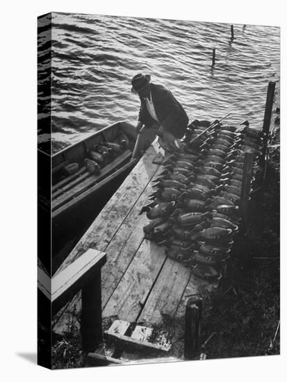 Duck Hunter Frank Freudenberg Loading Decoys for Ducks at Dawn-null-Premier Image Canvas