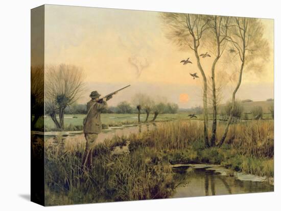 Duck Shooting-Christopher William Strange-Premier Image Canvas