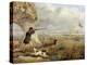 Duck Shooting-Henry Thomas Alken-Premier Image Canvas