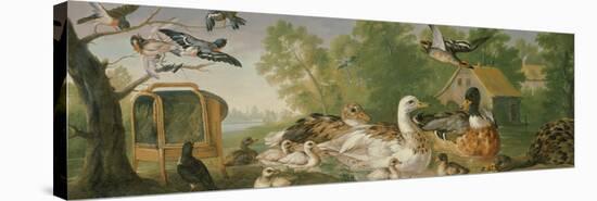 Ducks and Birds in a Landscape, 18Th Century-Pieter Casteels-Premier Image Canvas