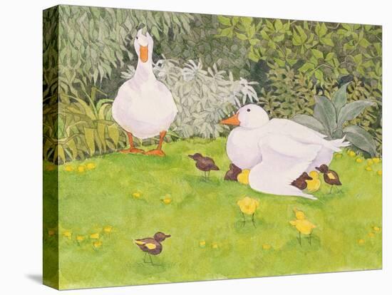 Ducks and Ducklings-Linda Benton-Premier Image Canvas