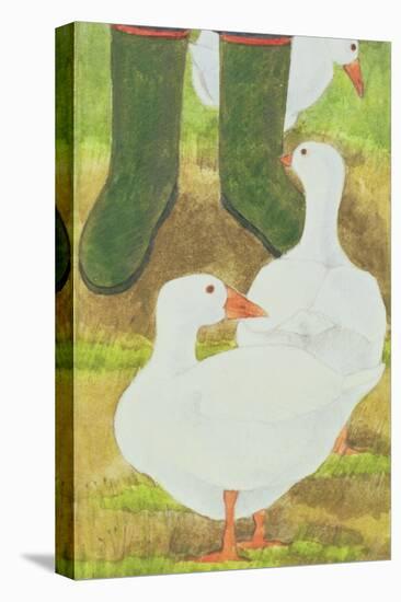 Ducks and Green Wellies-Linda Benton-Premier Image Canvas