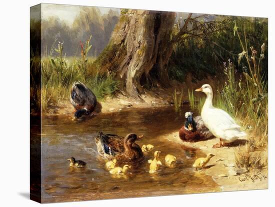 Ducks at the Water's Edge, 1874-Carl Jutz-Premier Image Canvas