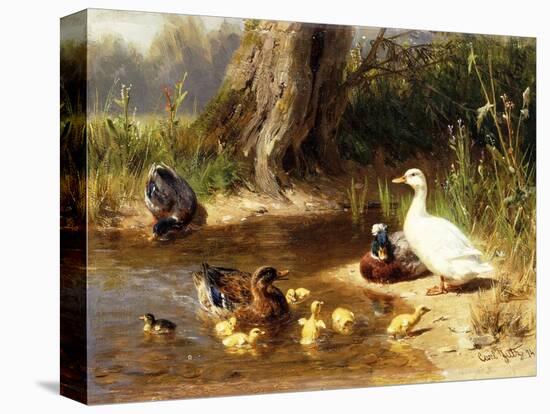 Ducks at the Water's Edge-Carl Jutz-Premier Image Canvas