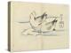 Ducks, C. 1830-Hogyoku-Premier Image Canvas