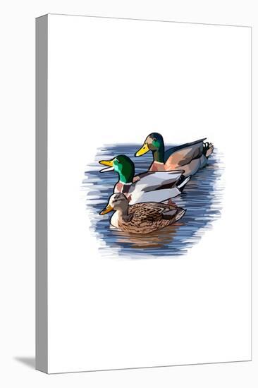 Ducks - Icon-Lantern Press-Stretched Canvas