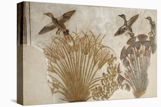 Ducks in a Papyrus Swamp, from Tell el-Amarna-null-Premier Image Canvas