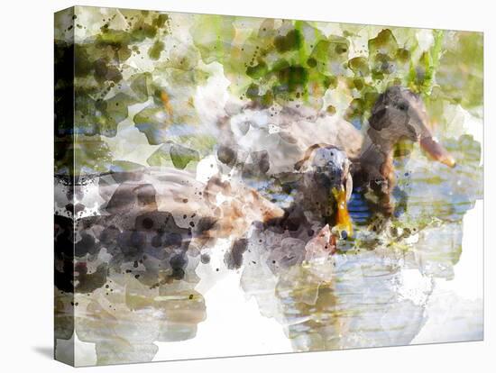 Ducks in Float I-Chamira Young-Stretched Canvas