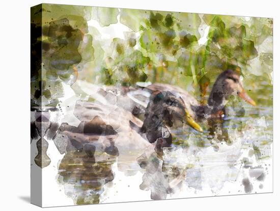 Ducks in Float II-Chamira Young-Stretched Canvas