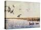 Ducks Landing, 1919-Louis Agassiz Fuertes-Premier Image Canvas