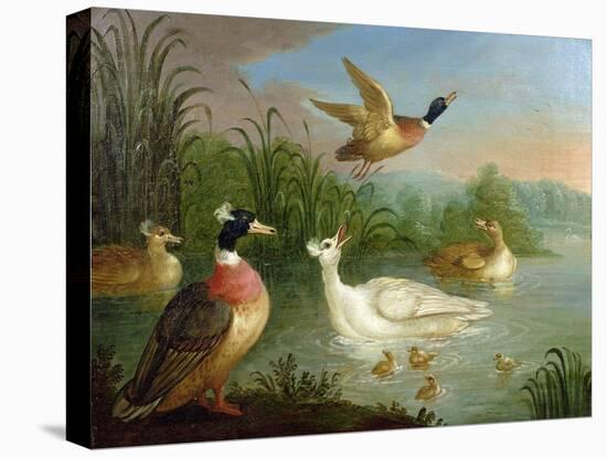 Ducks on a River Landscape-Marmaduke Craddock-Premier Image Canvas