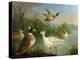 Ducks on a River Landscape-Marmaduke Craddock-Premier Image Canvas