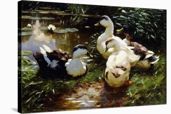 Ducks on a Riverbank-Alexander Koester-Premier Image Canvas