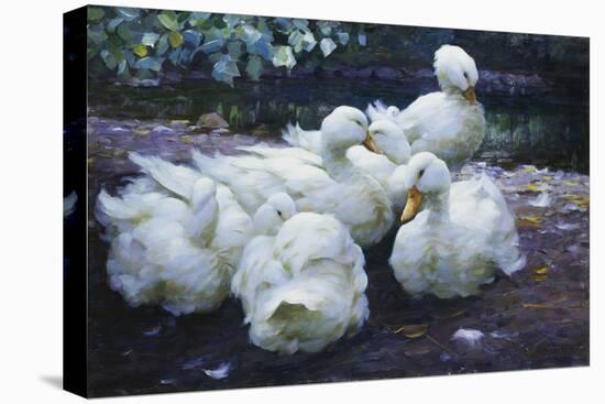 Ducks on the Bank of a River-Alexander Max Koester-Premier Image Canvas