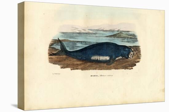 Dugong, 1863-79-Raimundo Petraroja-Premier Image Canvas