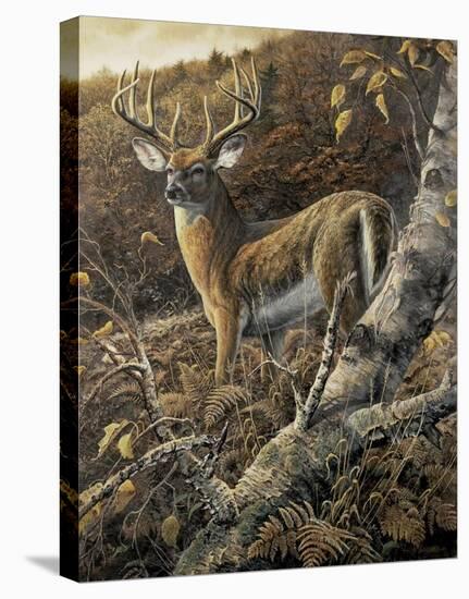 Duke of Autumn-Duane Geisness-Stretched Canvas