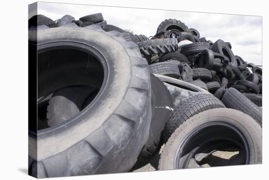 Dumped Tyres-Mark Williamson-Premier Image Canvas