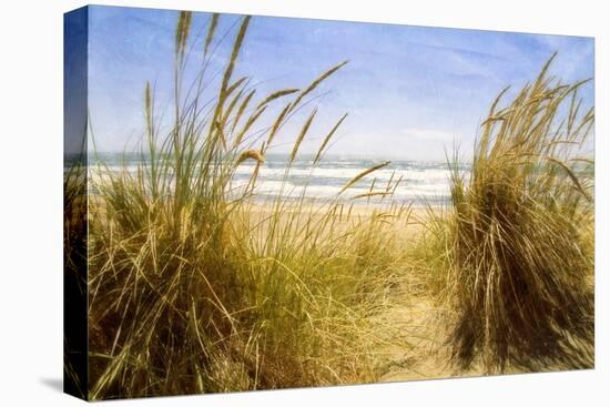 Dune Grass 3-Thea Schrack-Premier Image Canvas