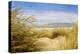 Dune Grass 4-Thea Schrack-Premier Image Canvas