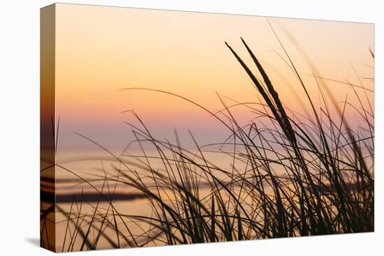 Dune Grasses at Coast Guard Beach in the Cape Cod National Seashore. Eastham, Massachusetts-Jerry and Marcy Monkman-Premier Image Canvas