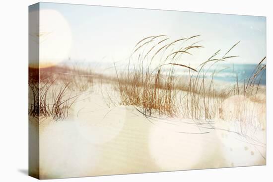 Dune Grasses on the Beach-soupstock-Premier Image Canvas