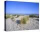 Dune landscape on the beach, Langeoog, East Frisian Islands, Lower Saxony, Germany-null-Stretched Canvas