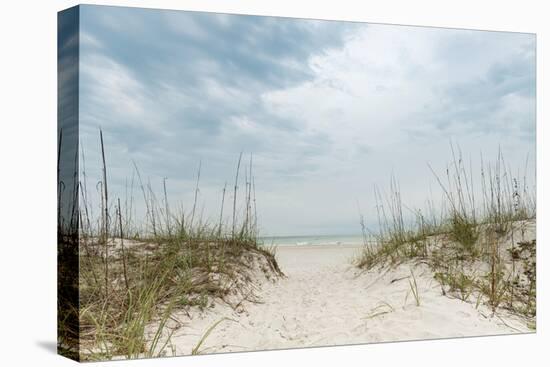 Dune Path-Mary Lou Johnson-Stretched Canvas