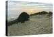 Dune Walk-Bruce Dumas-Premier Image Canvas