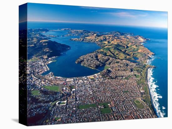 Dunedin, Otago Peninsula Harbor and Pacific Ocean, New Zealand-David Wall-Premier Image Canvas