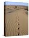 Dunes and Camp Under Tree in the Distance at Erg Al Hatin, Desert Trek, Draa Valley, Morocco-Jenny Pate-Premier Image Canvas