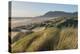 Dunes and dune grass at Nehalem State Park, Oregon.-Alan Majchrowicz-Premier Image Canvas