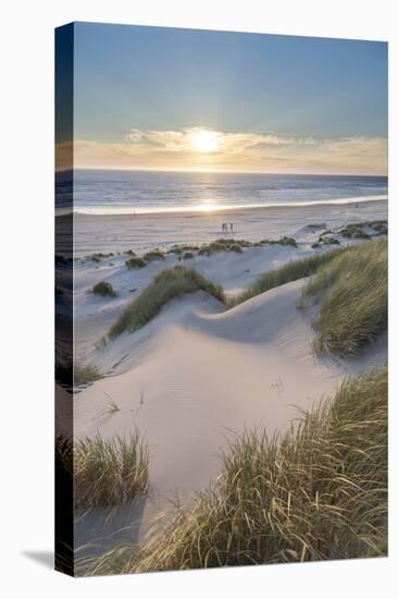 Dunes and dune grass at sunset. Nehalem State Park, Oregon.-Alan Majchrowicz-Premier Image Canvas