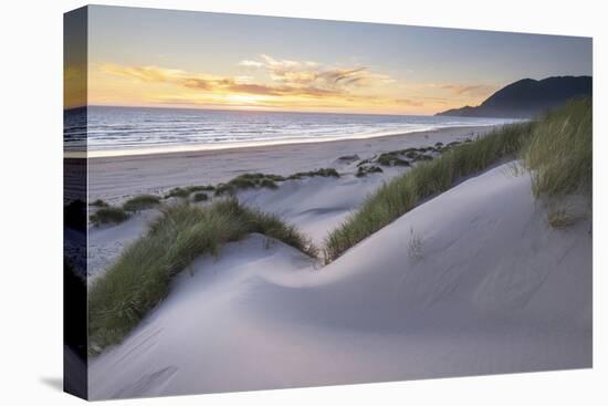 Dunes and dune grass at sunset. Nehalem State Park, Oregon.-Alan Majchrowicz-Premier Image Canvas