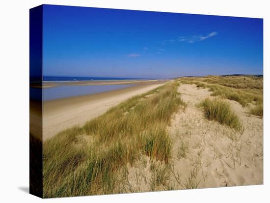 Dunes at Hardelot Plage, Near Boulogne, Pas-De-Calais, France, Europe-David Hughes-Premier Image Canvas