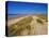 Dunes at Hardelot Plage, Near Boulogne, Pas-De-Calais, France, Europe-David Hughes-Premier Image Canvas