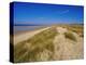 Dunes at Hardelot Plage, Near Boulogne, Pas-De-Calais, France, Europe-David Hughes-Premier Image Canvas